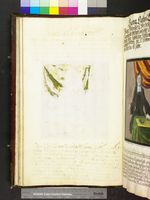 Amb. 279b.2° Folio 29 verso