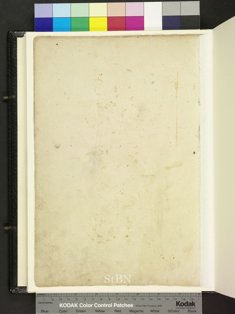Amb. 317b.2° Folio 166 verso