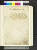 Amb. 317b.2° Folio 49 recto