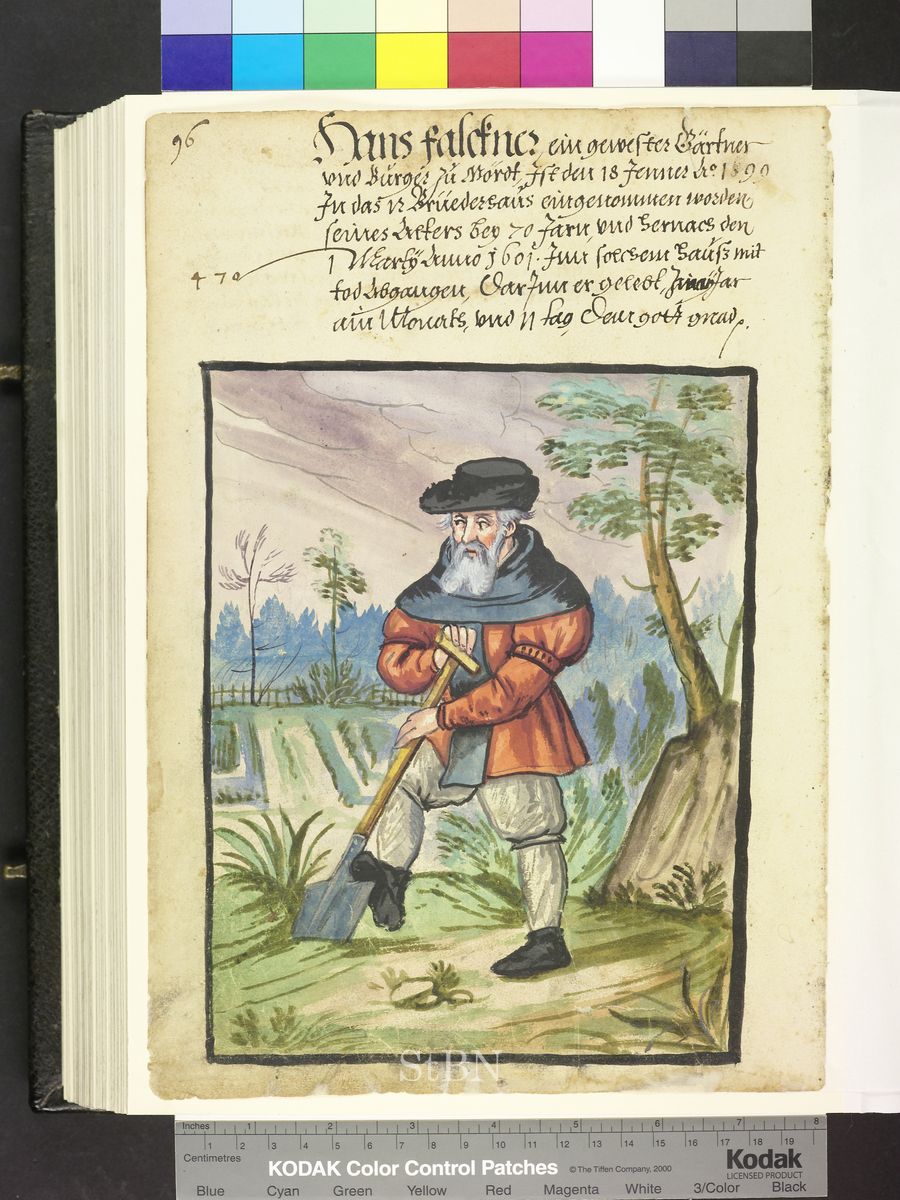 Amb. 317b.2° Folio 66 verso